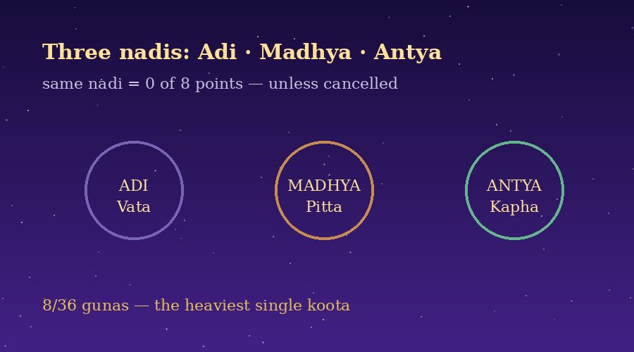 Nadi Dosha: The 8-Point Fear, What It Really Means, and the Remedies